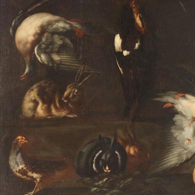 Oil on canvas. Various animals are placed against a completely dark background: some game prey, namely four different...