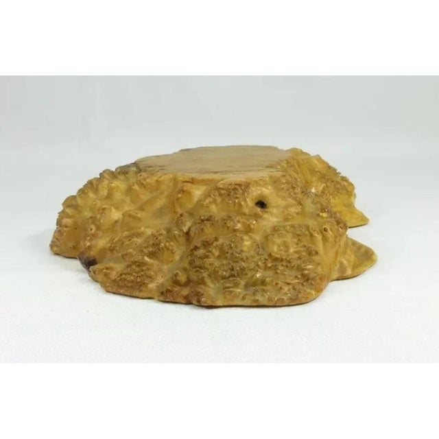 Goldenrod Antique Japanese Meiji Kadai Burl Presentation Board For Sale - Image 8 of 10