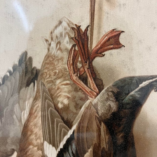 Set of Four 19th Century English Framed Hunt Trophy Lithographs For Sale - Image 11 of 18