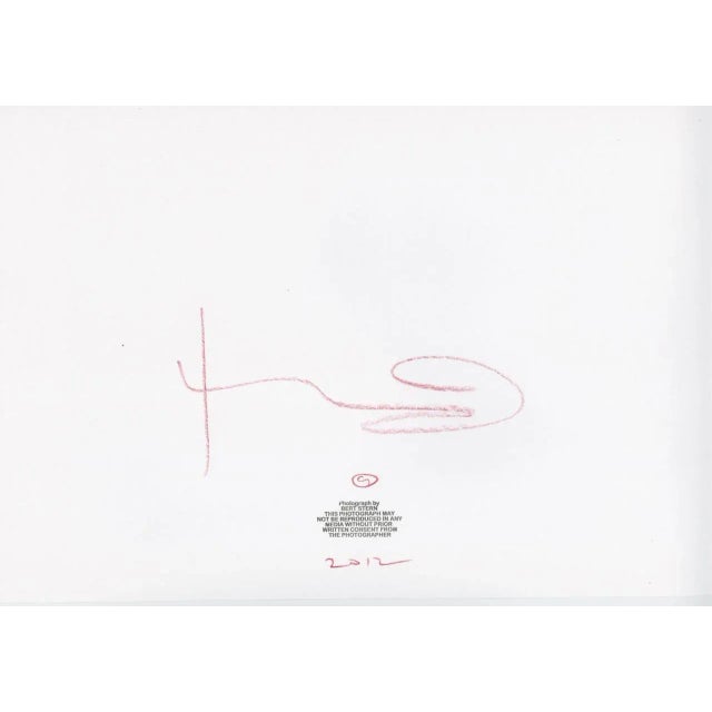 Contemporary Marilyn in the Wedding Veil 2012 For Sale - Image 3 of 4