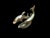 2020s Handmade Brass Dolphin Desk Sculpture For Sale - Image 5 of 9
