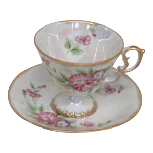 Enesco Porcelain Iridescent August Poppy Flowers Tea Cup and Saucer Set