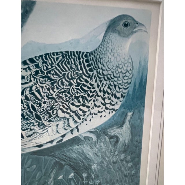 Vintage Framed Watercolor Lithographs of Spurfowl & Pheasants, Set of 2 For Sale - Image 9 of 11