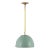 Thomas O'Brien by Visual Comfort Studio Robbie 1-Light Large Pendant in Eucalyptus For Sale