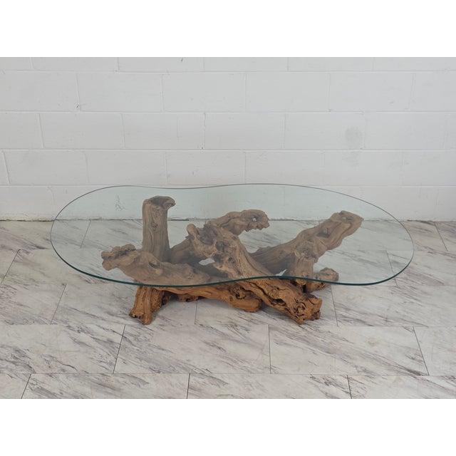 Mid 20th Century Olive Root Driftwood Coffee Table For Sale - Image 10 of 12
