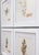 French Country Custom Framed Antique Swedish Botanical Herbariums, 1912 - Set of 4 For Sale - Image 3 of 13