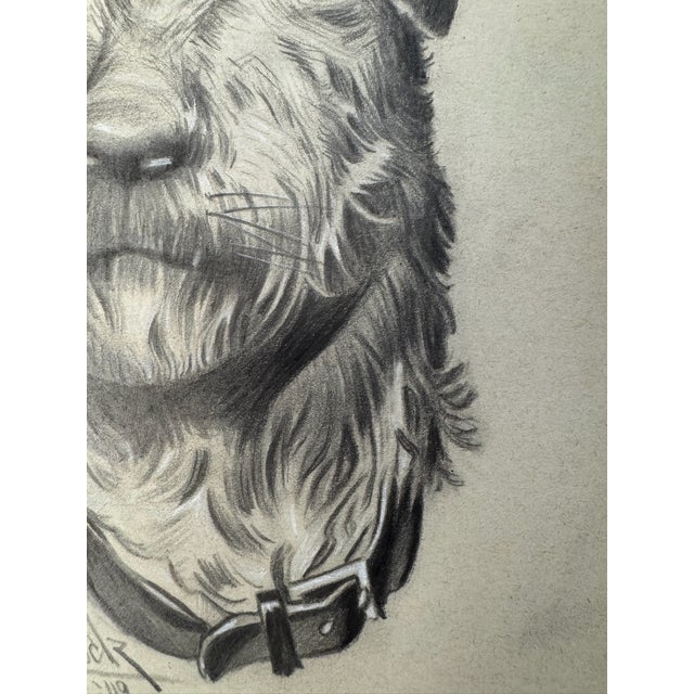 Illustration 1940s Original Signed Graphite Illustration of Terrier Dog Portrait, 12 × 9 In. For Sale - Image 3 of 6