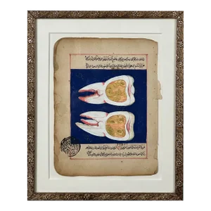 18th Century Folk Art Jinn Tooth Worm Painting, Framed (Mixed Media on Paper)