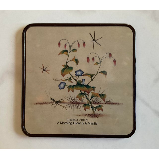 Fruit and Vegetable Printed Coaster Set For Sale - Image 6 of 7