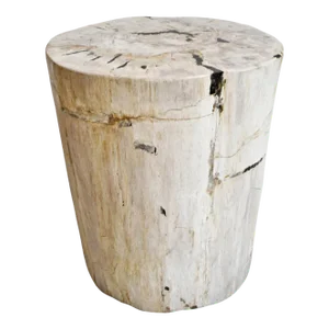Petrified Wood Stump Vintage Side Table