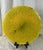 Large Vintage Studio Art Glass – Yellow & Cobalt Sculptural Decor, 13” For Sale In Portland, OR - Image 6 of 12