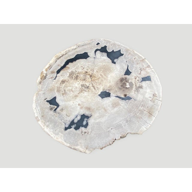 Andrianna Shamaris Petrified Wood Slab Table with Steel Base For Sale - Image 18 of 18