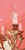 2000 - 2009 Polished Brass 8-Armed Chandelier For Sale - Image 5 of 5