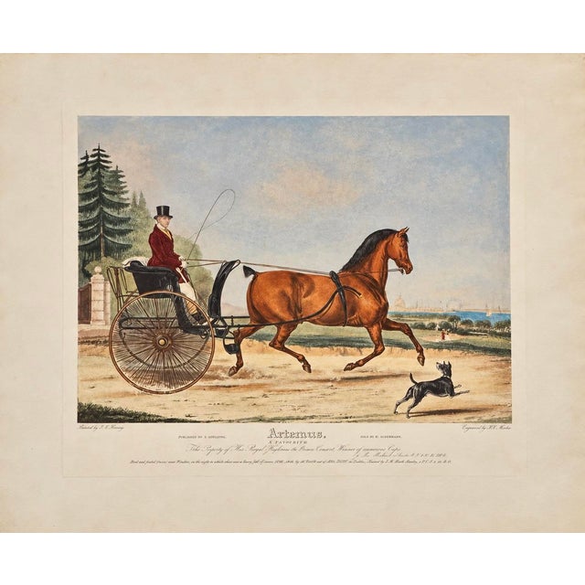 Artaxerxes – Large Original 1838 Hand-Colored British Equestrian Aquatint by f.c. Turner For Sale