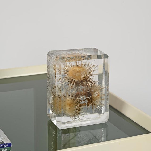 Acrylic Glass Paperweight with Encased Flowers by Pierre Giraudon, France, 1970s For Sale - Image 13 of 14