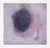 Lavender Nebula - Transfer Monotype in Oil on Paper Original hand painted and transfer monotype painting by California...