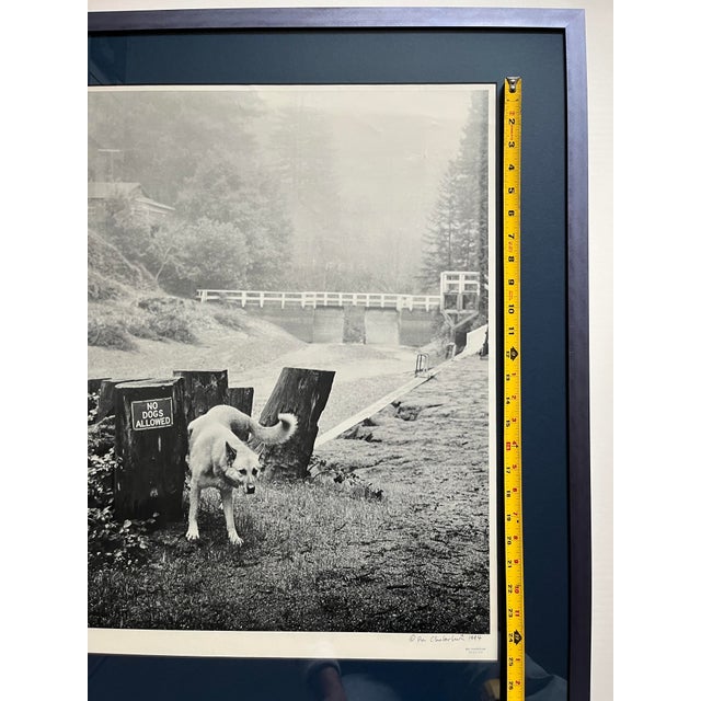 1990s 1994 Ron Chamberlain Hand Signed and Dated Poster, Framed For Sale - Image 5 of 7