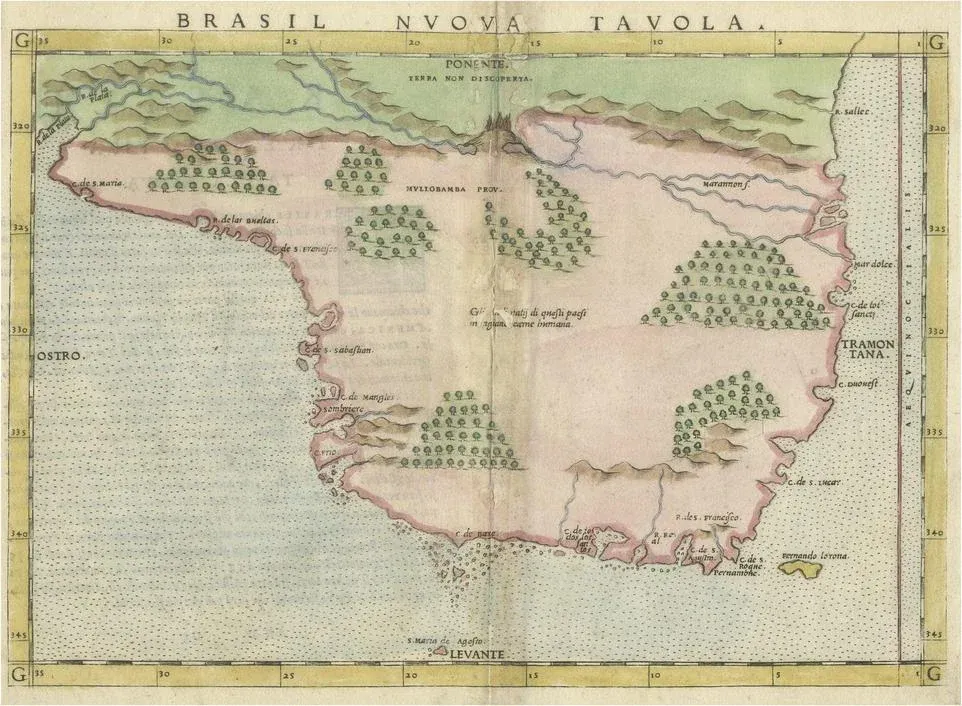 Antique 16th Century Map of Brasil, 1561 | Chairish