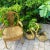 Monumental Sculptural Brass Swans Planters Restored - A Pair For Sale - Image 9 of 11