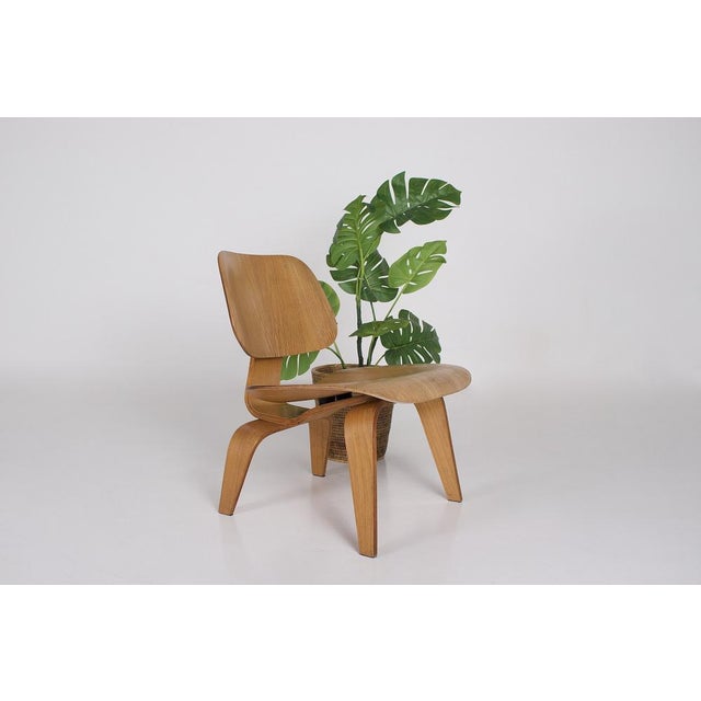 Tan Evans Medal Strip Chair by Charles & Ray Eames, 1940s For Sale - Image 8 of 11