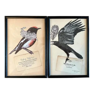 Pair of Handmade Paper Collages Made From Original Vintage Ephemera in Antique Frames, Birds, Diamond Feather Brooch