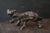 Japanese Wood Burl Animal-Form Object / Mitate Folk Art / 20th Century / Sc169 For Sale - Image 15 of 17