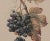 Traditional 19th Century Hand Colored French Engraving of Grapes For Sale - Image 3 of 5