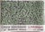 Anniversary poster from the Louisiana Museum of Modern Art archive featuring Homo Decorans (1985) by Keith Haring, one of...