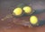 Vintage Original Lemon Still Life Oil Painting For Sale - Image 10 of 12
