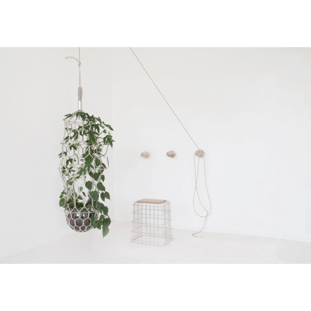 Early 21st Century Lucille Grand Natural Flower Cocoon by LLOT LLOV For Sale - Image 5 of 6