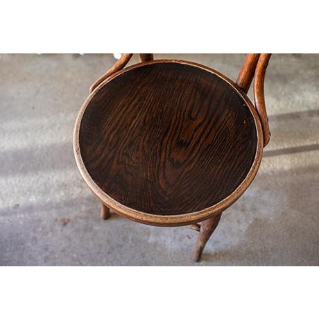 Antique Bentwood Cafe Chairs in the Style of Micheal Thonet , Set of 6 For Sale - Image 15 of 16
