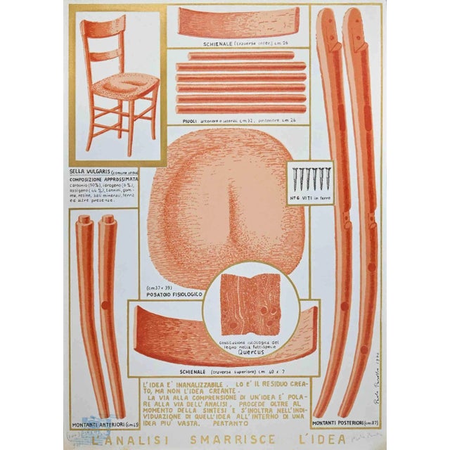 Paolo Pasotto, Analysis Loosed the Idea, Original Screen Print, 1976 For Sale