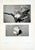 Set of 12 Antique Botanical Photogravure Plates From the First Edition of Nature's Aid to Design (1907) For Sale In Los Angeles - Image 6 of 13
