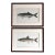 Antique Denton Fish Prints-Custom Framed-Set 2 For Sale