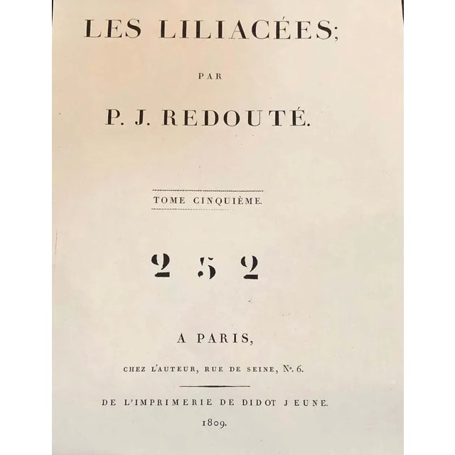 Iris Virescens, Lalics Hand Colored Engraving Signed P. J. Redoute For Sale - Image 12 of 13