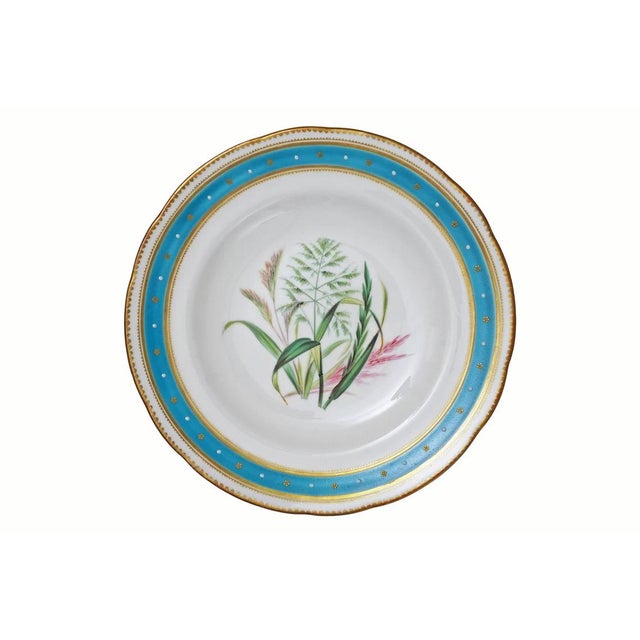 19th Century 19th Century Minton Botanical Plates Jeweled Porcelain Turquoise Enamel - Set of 4 For Sale - Image 5 of 9