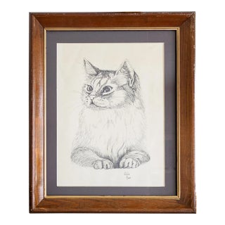 Pen and Ink Cat Illustration | Black and White Signed and Framed For Sale
