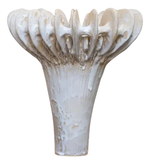 Crinoid Vase in Stoneware with Matte White Glazing by Kallia Panopoulou
