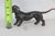 Buxtehude Dachshund Metal Dog Standing Figurine 4703b For Sale - Image 10 of 11