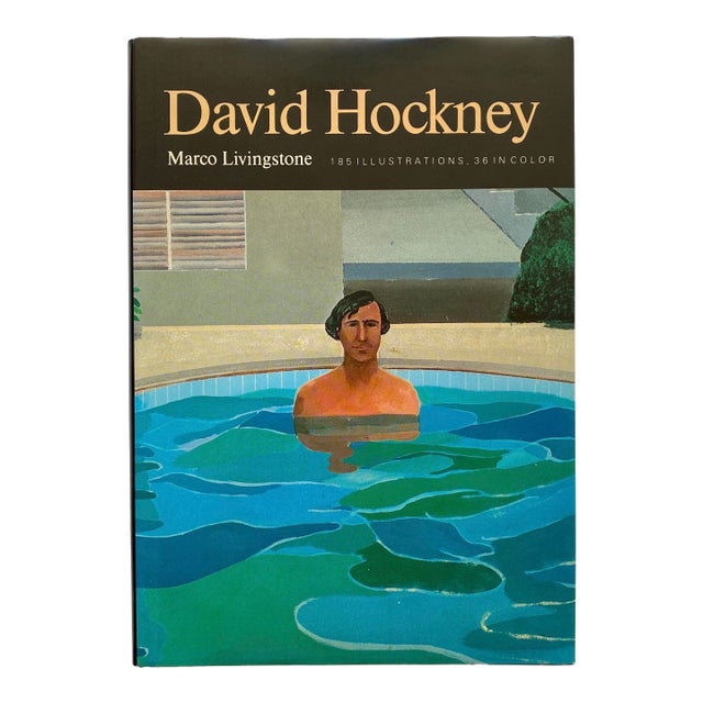 David Hockney Vintage 1981 First Edition Lithograph Print Hardcover Pop Art Monograph Survey Book For Sale