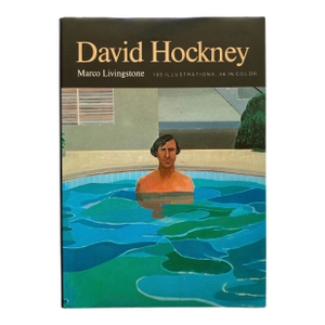 David Hockney Vintage 1981 First Edition Lithograph Print Hardcover Pop Art Monograph Survey Book