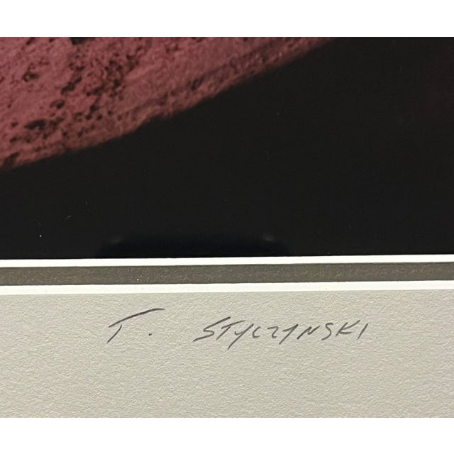 Contemporary 1995 Thomas J. Styczynski "Antelope Canyon 2" Hand Signed Photograph For Sale - Image 3 of 6