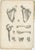 Cloquet, French Anatomical Osteology, 1821, Lithograph, Set of 3 For Sale - Image 3 of 9