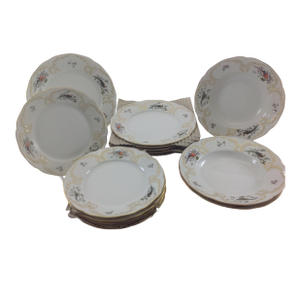 1970's Vintage/New Rosenthal Wild Fowl & Gold Rim Dinnerware Set- 15 Pieces