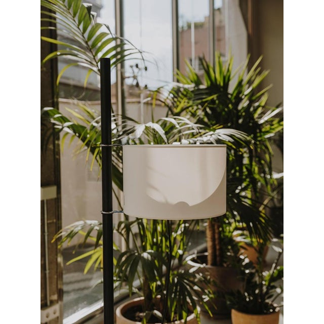 White and Oak TMM Floor Lamp by Miguel Milá For Sale - Image 10 of 15