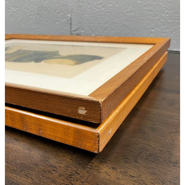 Vintage Framed Lithographic Prints From a Series Titled "Costumes Suisses" (Swiss Costumes) by Artist Kurt Wirth For Sale - Image 13 of 18