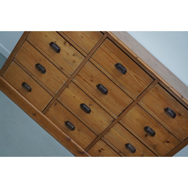 German Pine Apothecary Cabinet, 1930s For Sale - Image 5 of 18