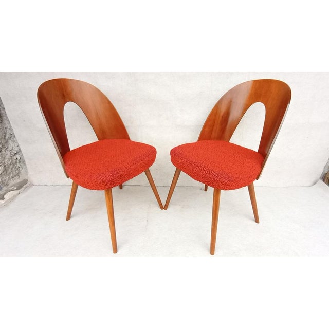 Mid-Century Dining Chairs by Antonin Suman, 1960s, Set of 2 For Sale - Image 13 of 13