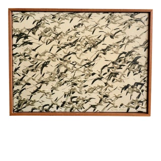 Mid-Century Framed Sepia Photograph of Flying Geese on Canvas For Sale