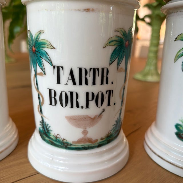 Set of 4 Antique Porcelain Apothecary Jars With Hand Painted Palm Tree and Serpent Decoration For Sale - Image 10 of 12
